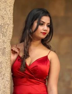 call girl service in Vijapur